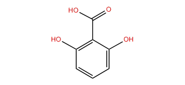 2,6-Dihydroxybenzoic acid